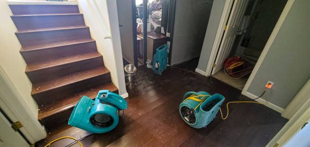 Best Commercial water damage restoration  in Lasalle, IL