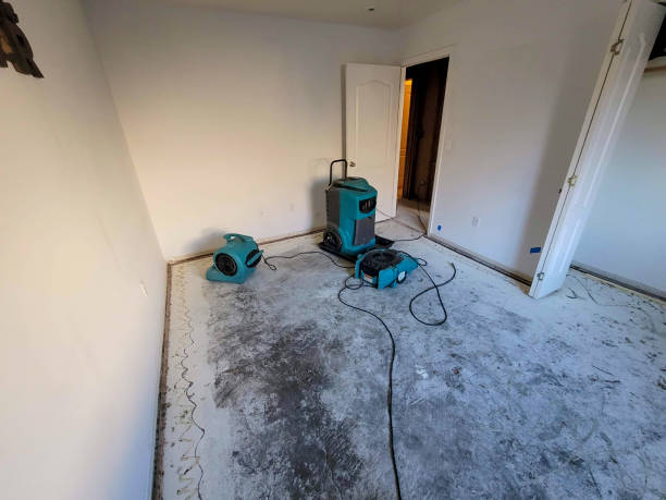 24/7 water damage repair in Lasalle, IL
