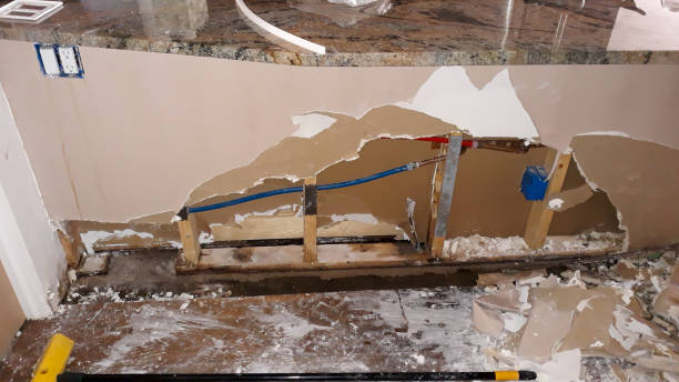 Best Carpet water damage restoration  in Lasalle, IL