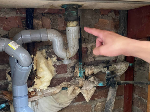 Best Water damage restoration near me  in Lasalle, IL