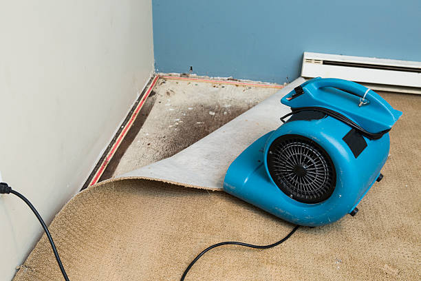 Trusted Lasalle, IL Water damage restoration Experts